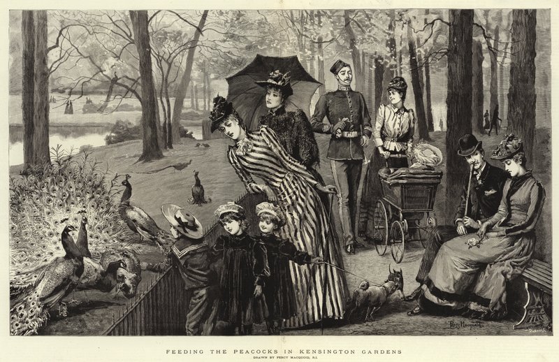 Mata påfåglarna i Kensington Gardens (gravyr) av Percy Macquoid