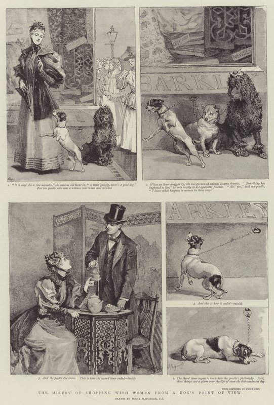 Misären att shoppa med kvinnor från en hunds synvinkel av Percy Macquoid
