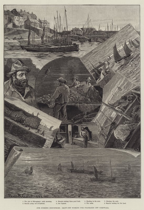 Vår fiskeindustri, drivnätsfiske efter pilchards utanför Cornwall av Percy Robert Craft