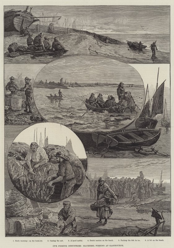 Vår fiskeindustri, makrillfiske i Eastbourne (gravyr) av Percy Robert Craft