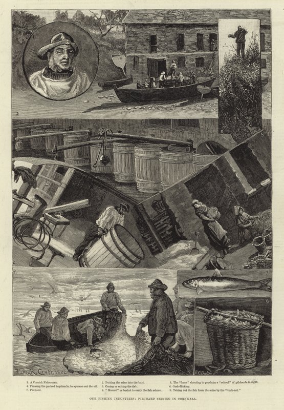 Våra fiskeindustrier: Pilchard Seining i Cornwall av Percy Robert Craft