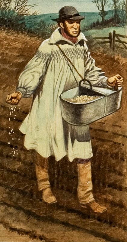 Sådd av Peter Jackson