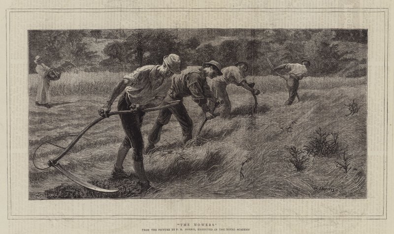 Slåttermaskinerna av Philip Richard Morris