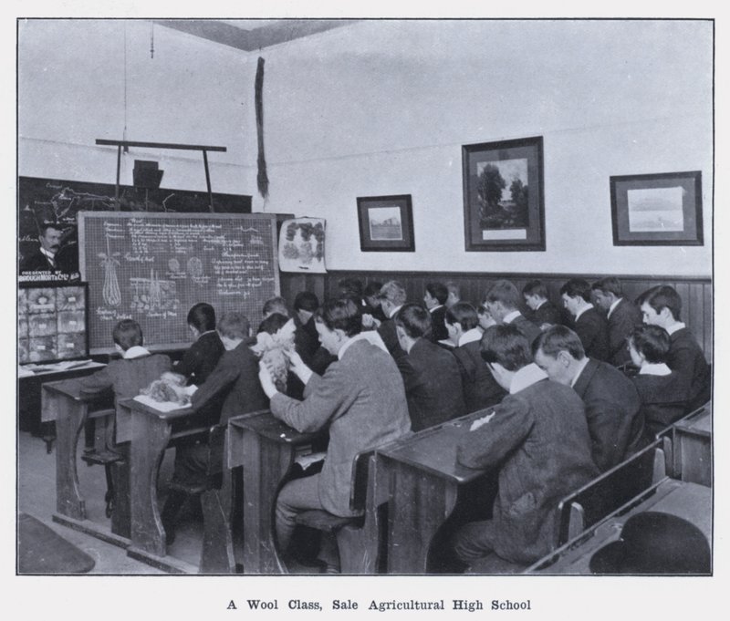 A Wool Class, Sale Agricultural High School (s/v foto) av Photographer Australian