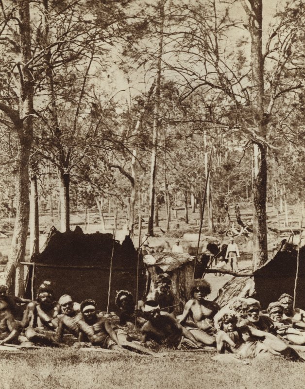 Australiska aboriginer som skyddar sig bakom ett vindskydd (s/v foto) av Photographer Australian