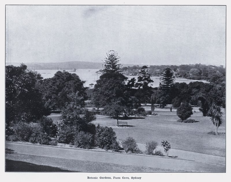 Botanic Gardens, Farm Cove, Sydney (s/v foto) av Photographer Australian