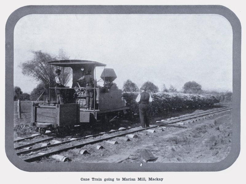 Cane Train går till Marian Mill, Mackay (s/v foto) av Photographer Australian