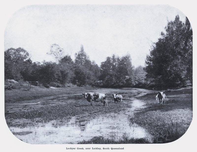 Lockyer Creek, nära Laidley, South Queensland (s/v foto) av Photographer Australian