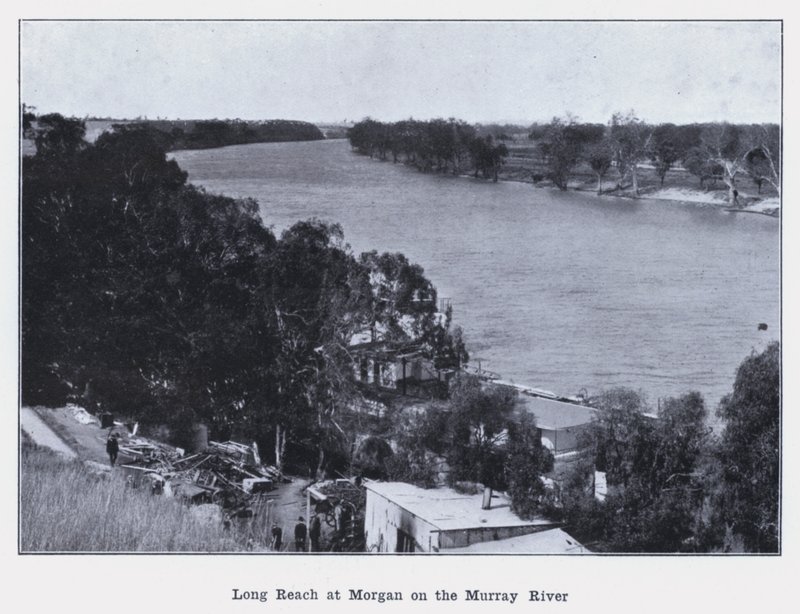 Long Reach vid Morgan vid Murray River (s/v foto) av Photographer Australian