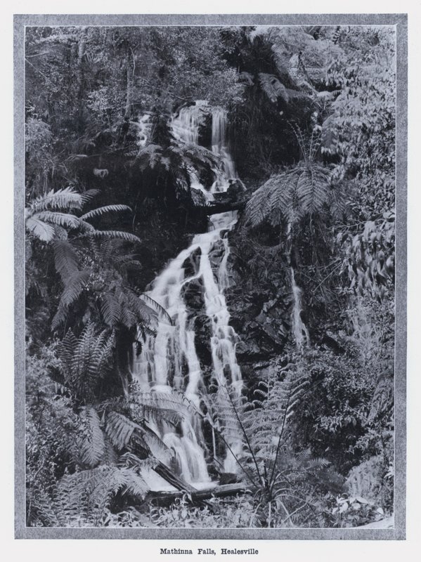 Mathinna Falls, Healesville (s/v foto) av Photographer Australian
