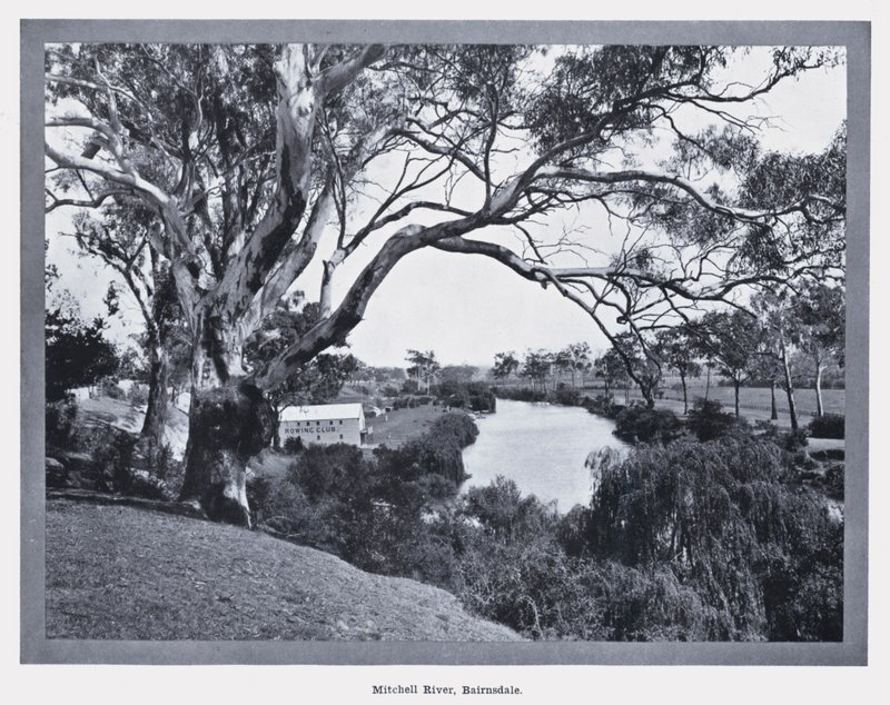Mitchell River, Bairnsdale (svart/vitt foto) av Photographer Australian