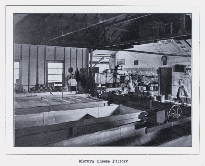 Moruya Cheese Factory (s/v foto) av Photographer Australian