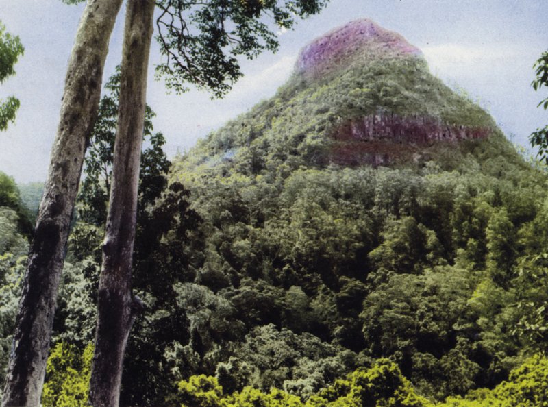 Queensland, Australien: Mt Cordeaux (bilden) av Photographer Australian