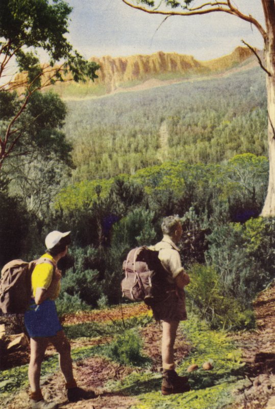 Tasmanien: Vandrare nära Mount Olympus (färgfoto) av Photographer Australian