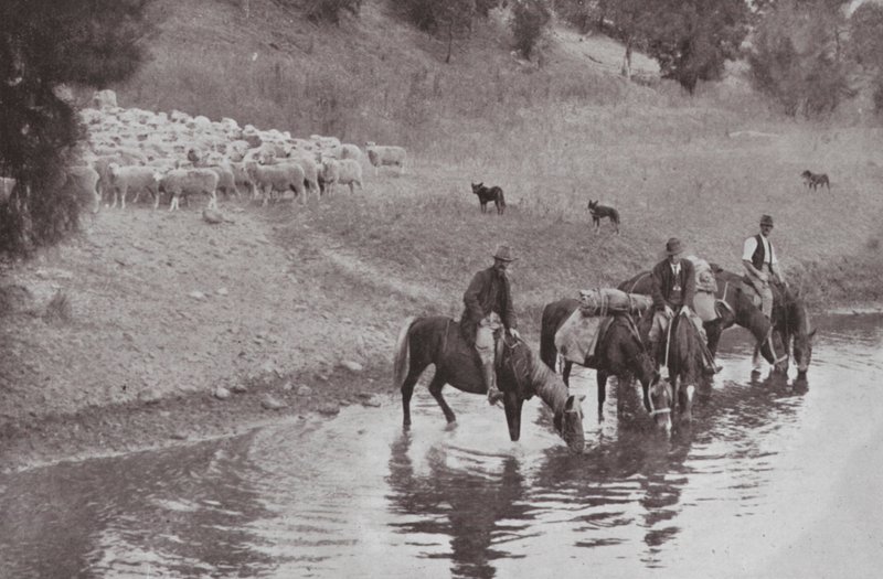Resten, typiska australiensiska stockmen (s/v foto) av Photographer Australian