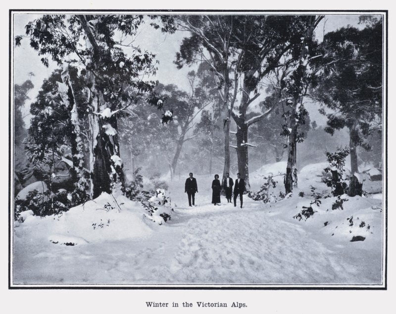 Vinter i de viktorianska alperna (s/v foto) av Photographer Australian