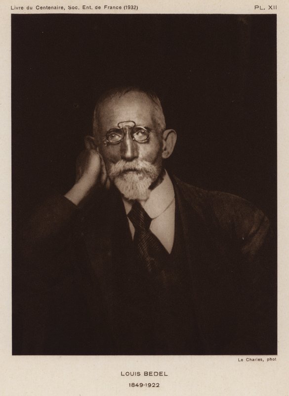 Ernest Marie Louis Bedel, fransk entomolog (s/v foto) av Photographer French