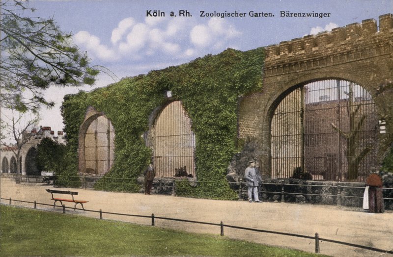 Kölns djurpark, Björnar (foto) av Photographer German