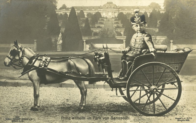 Kronprins Willhelm, Sanssouci Palace, Potsdam (s/v foto) av Photographer German
