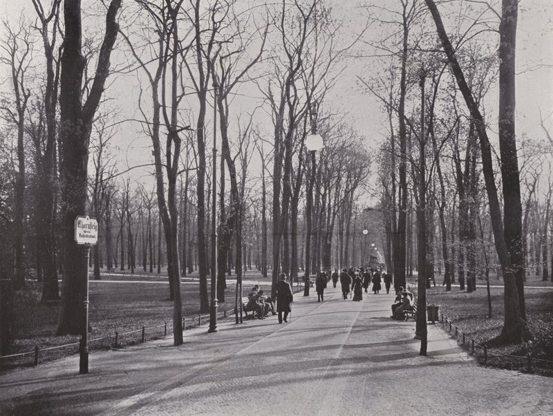I Tiergarten, Ahornsteig (s/v foto) av Photographer German