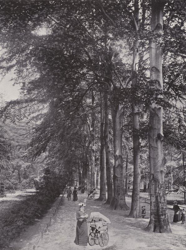 I Tiergarten, en skuggig stig (s/v foto) av Photographer German