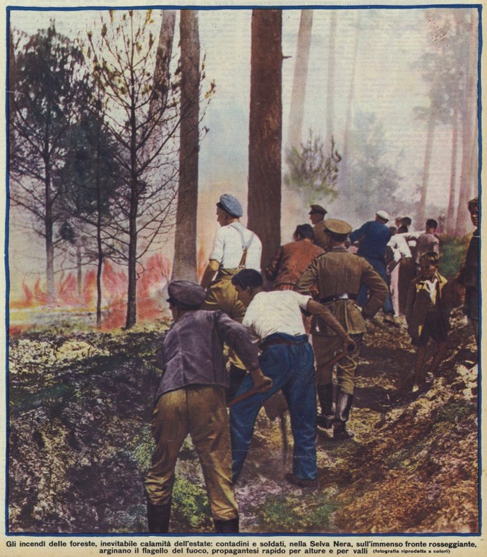 Bönder och soldater som bekämpar en skogsbrand i Schwarzwald, Tyskland av Photographer German