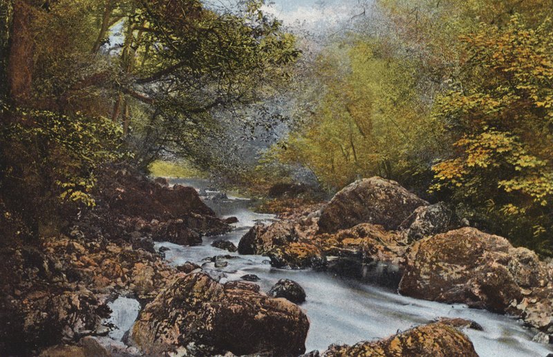 Irland: In The Dargle, County Wicklow (färgat foto) av Photographer Irish