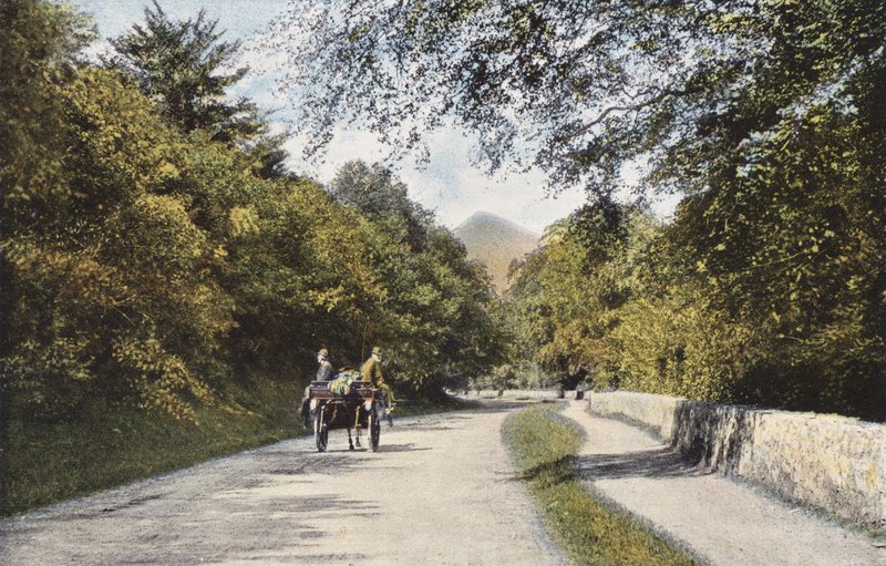 Irland: The Glen of the Downs, Sugar Loaf Mountain, County Wicklow (färgad bild) av Photographer Irish