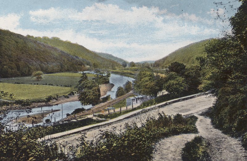 Irland: Vale of Arklow, County Wicklow (färgat foto) av Photographer Irish