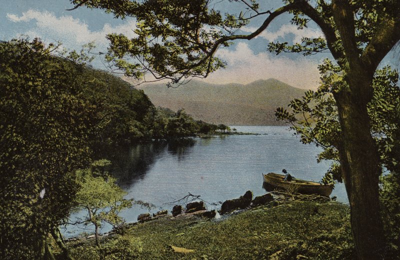 Sydirland: Vid Innisfallen, Killarney (färgat foto) av Photographer Irish