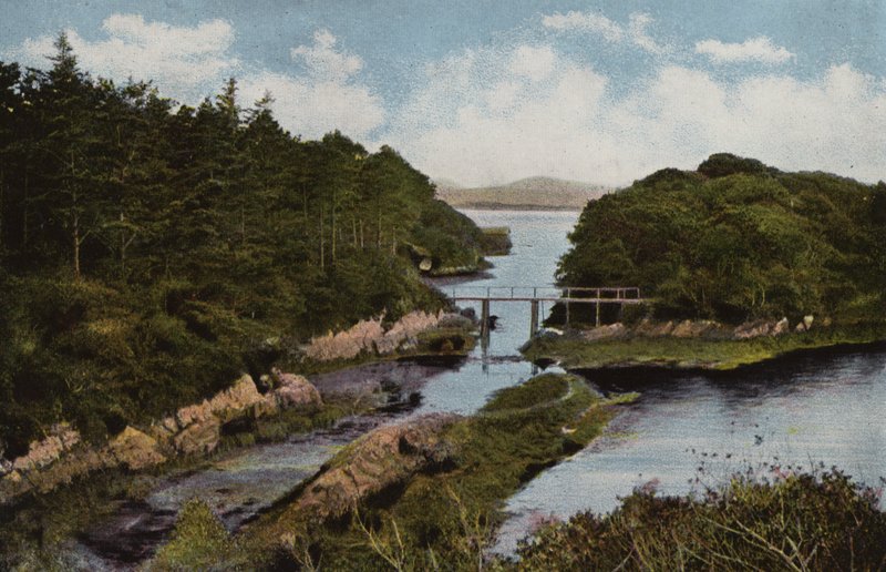 Sydirland: Parknasilla, County Kerry (färgat foto) av Photographer Irish