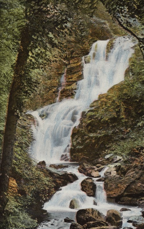 Sydirland: Torc Cascade, Killarney (färgat foto) av Photographer Irish
