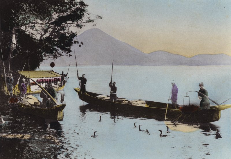 Japan, ca 1912: Fiske med en skarv, Nagaragawa (foto) av Photographer Japanese