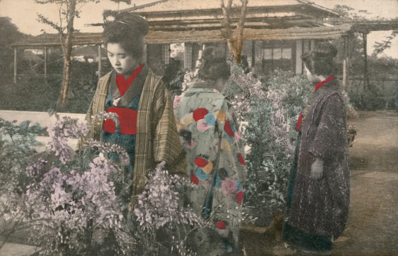 Japanska kvinnor med blåregnväxter (färgat foto) av Photographer Japanese