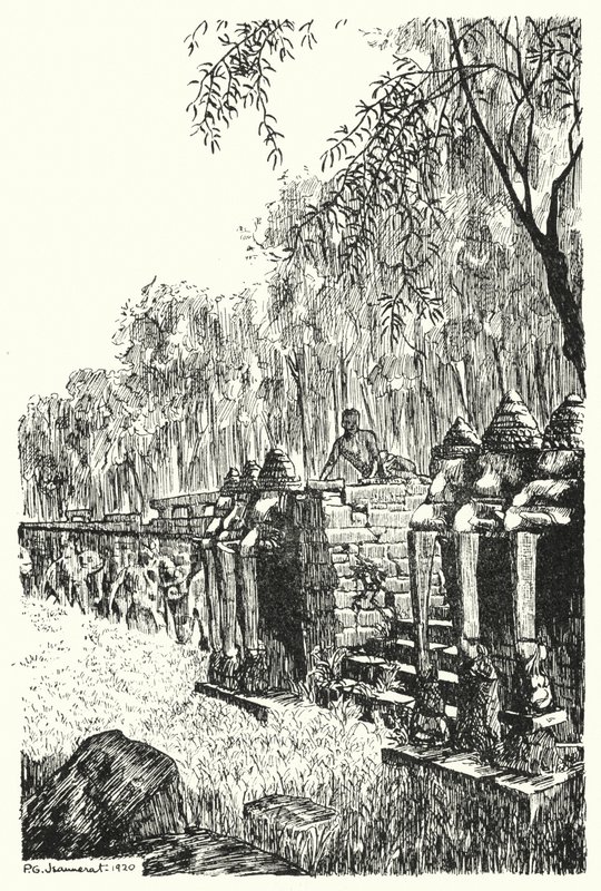 Sidoperron av Elephants
