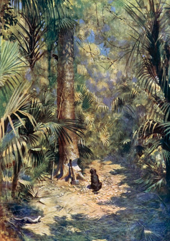Illustration för Robinson Crusoe av Daniel Defoe (färg litho) av Ralph Noel Pocock