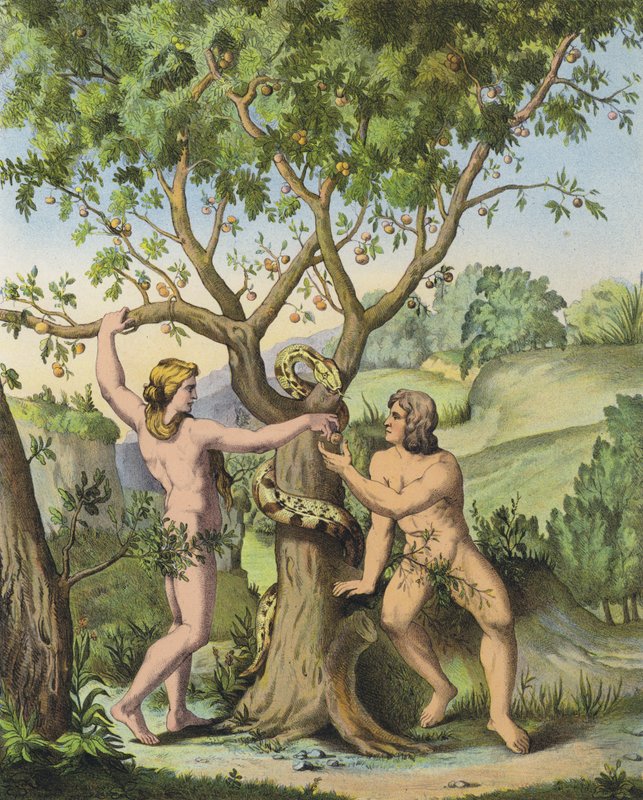 Eva presenterar äpplet från trädet för kunskapen om gott och ont till Adam (färg litho) av after Raphael