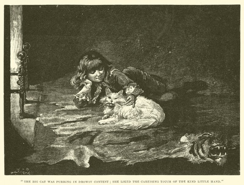 Illustration för Little Lord Fauntleroy av Reginald Bathurst Birch