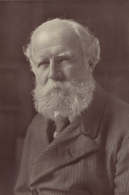 Lord Avebury (s/v foto) av Reginald Haines