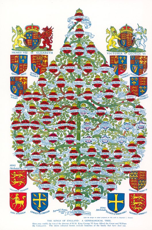 The Kings Of England, A Genealogical Tree (färglitografi) av Reginald & Horace (1884 1954) Knowles