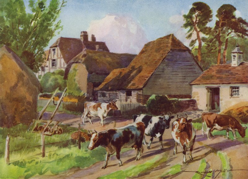 Illustration för My Farm (färg litho) av Reginald Mills