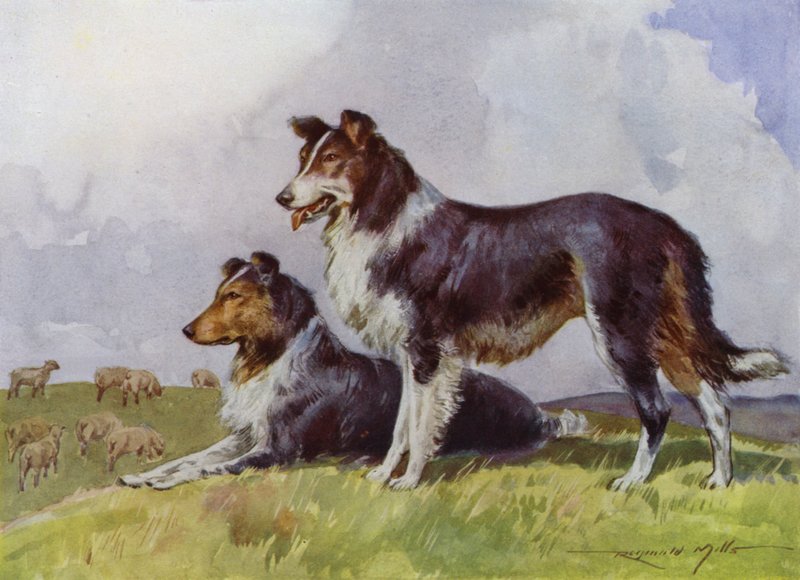 Illustration för My Farm (färg litho) av Reginald Mills