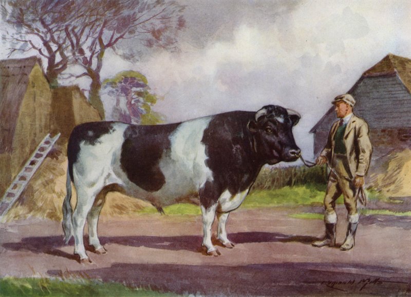 Illustration för My Farm (färg litho) av Reginald Mills