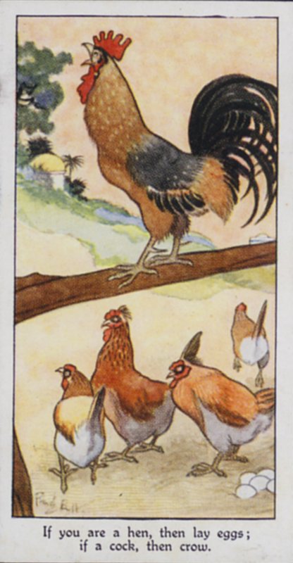 Östra Ordspråket: Om du är en höna, lägg då ägg; om en kuk, då kråka (färg litho) av René Bull