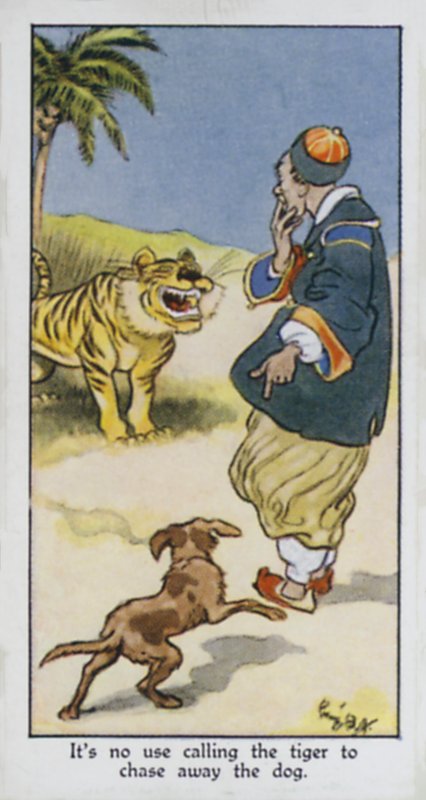 Det är ingen idé att kalla tigern för att jaga bort hunden (färg litho) av René Bull