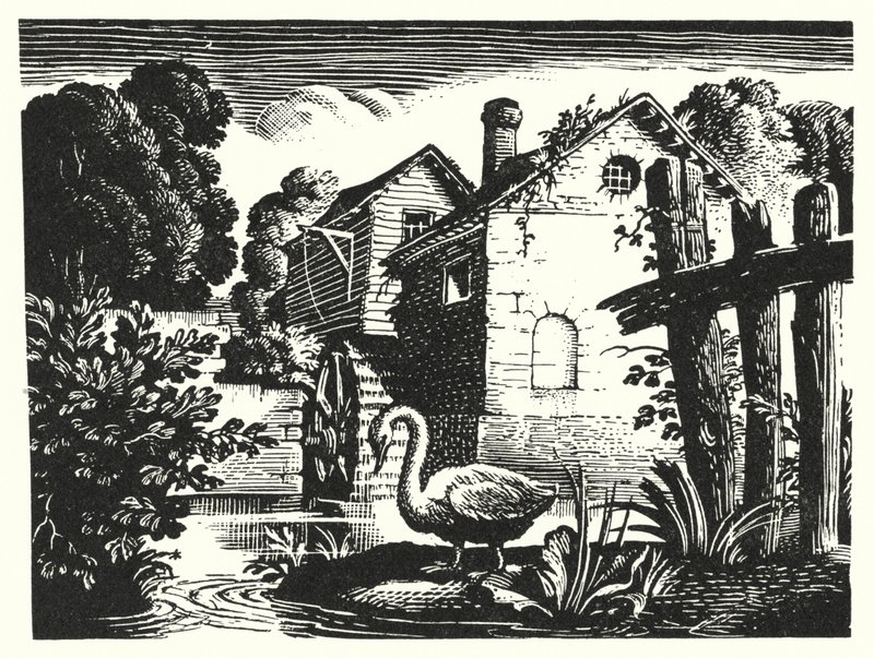 HC Andersen: Den fula ankungen (litho) av Rex (after) Whistler