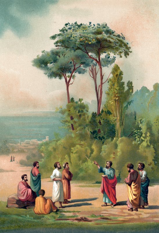 Platon och hans lärjungar i den akademiska trädgården av Ricardo Marti