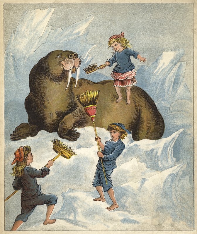 Rengöra tänderna på en valross (chromolitho) av Richard Andre
