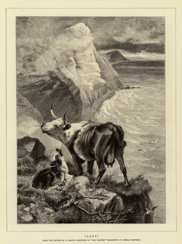 Förlorat av Richard Beavis