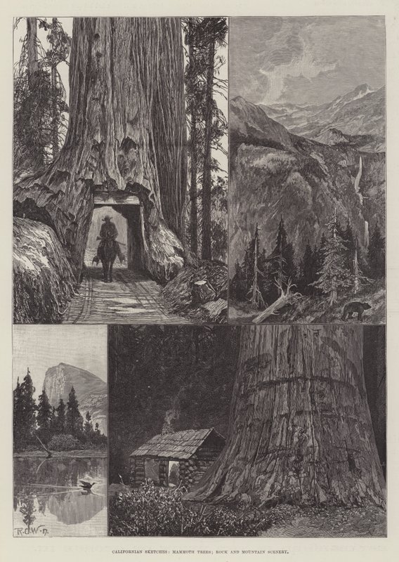 Kaliforniska skisser, mammutträd, sten- och bergslandskap av Richard Caton Woodville junior